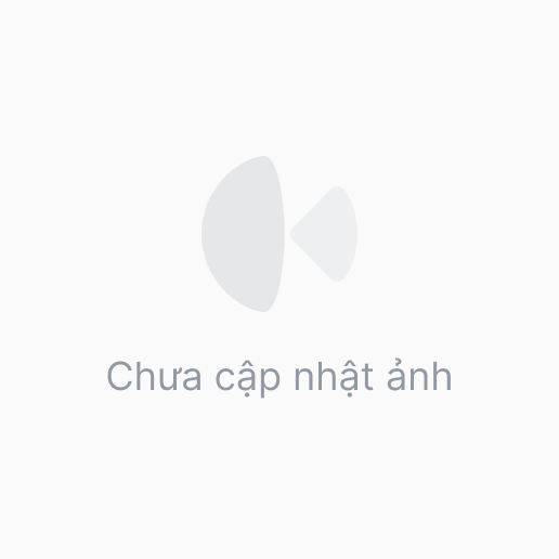 Đầu camera, Đầu chảo
